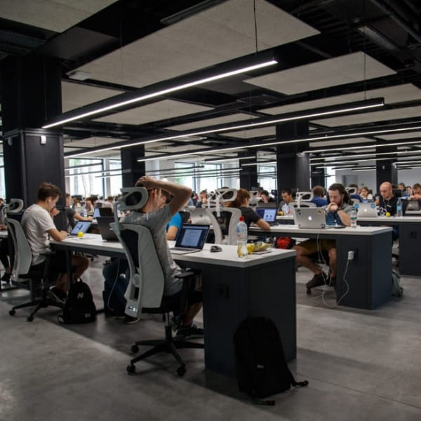 Ranking producentów